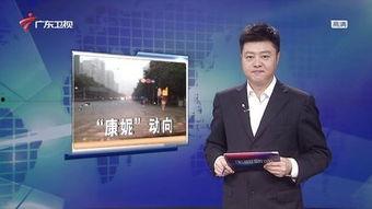 河北午间新闻爆料,突发事件引发关注，详情即将揭晓